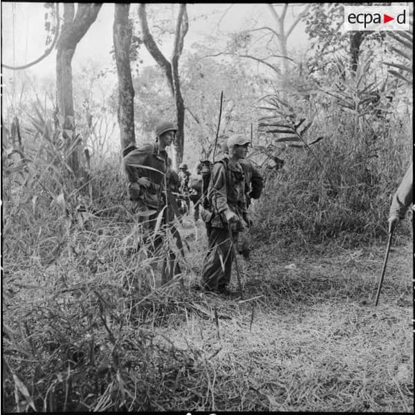 Des soldats progressent dans les hautes herbes