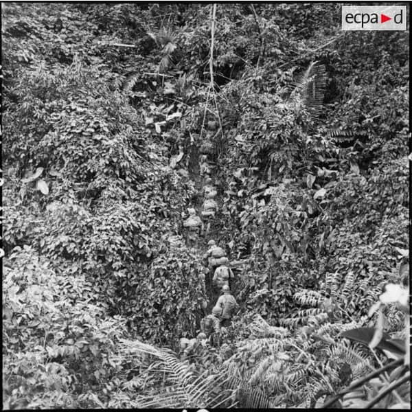 Un soldat isolé dans la végétation dense