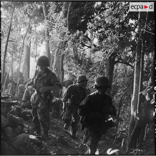 Une colonne de soldats en marche dans la forêt