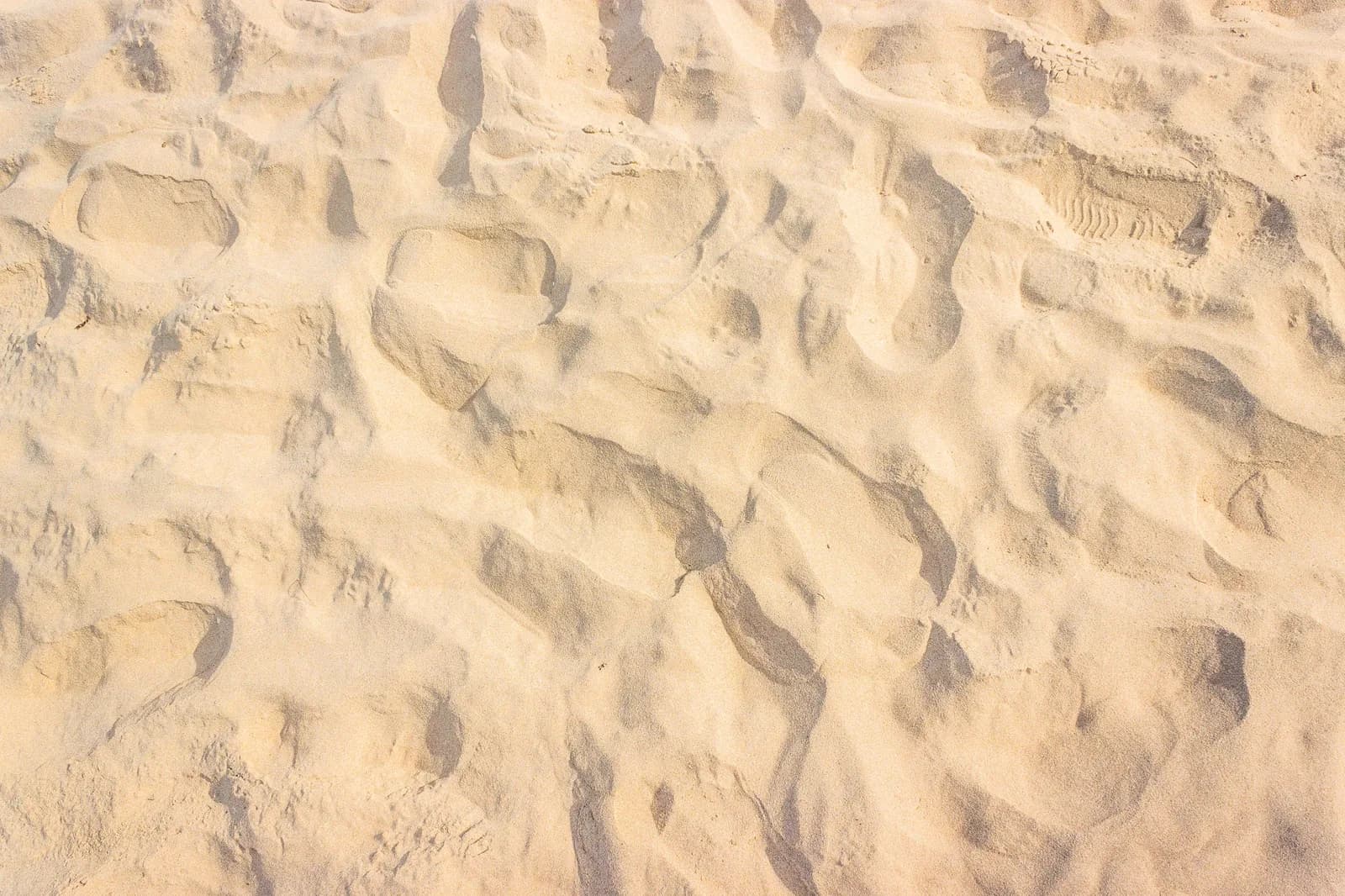 Une plage de sable