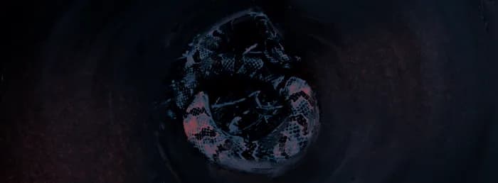 Un serpent lové dans un halo sombre